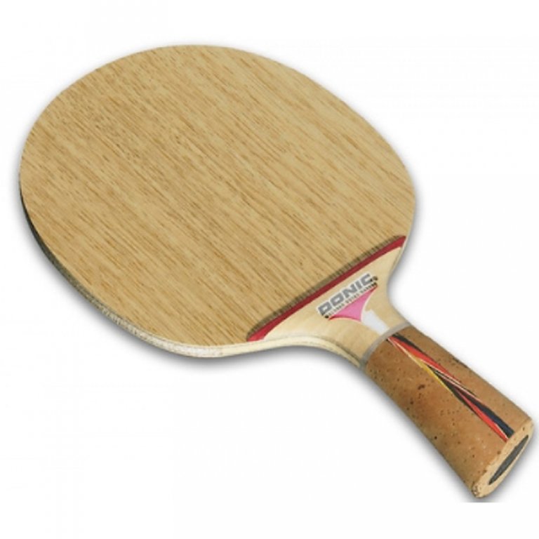 DONIC Waldner Dotec Carbon Table Tennis Blade_100282-500x500.jpg