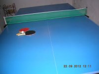 ping pong 001.JPG