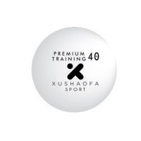 prem-training-ball-300x300.jpg