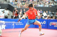 Zhang Jike fh.jpg