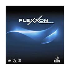 flexxon.jpg