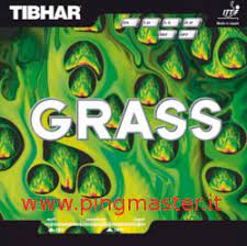 tibhar grass.jpg