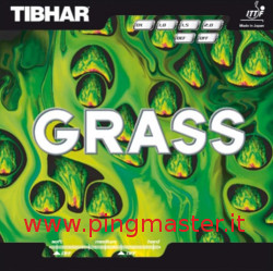 Tibhar-GRASS-extra-big-1242-853.jpg