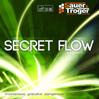 sauer-troger-secret-flow.jpg