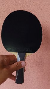 IMG_20250507_121630_187.jpg