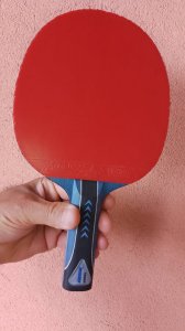 IMG_20250507_121606_618.jpg