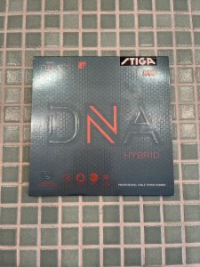 IMG_2763.jpeg