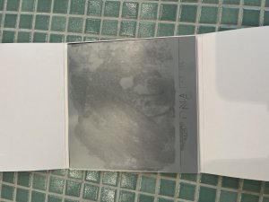 IMG_2764.jpeg