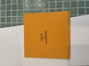 IMG_2765.jpeg