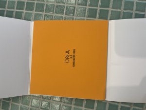 IMG_2768.jpeg
