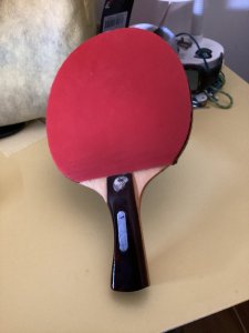 IMG_0010.jpeg