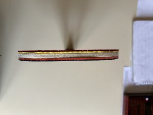 IMG_1532.jpg