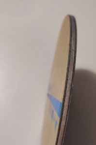 IMG_20250527_123228.jpg