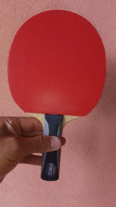 IMG_20250507_121639_845.jpg