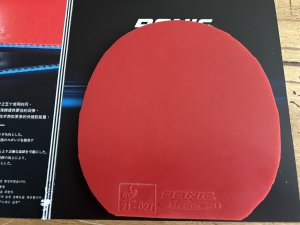 IMG_5709.jpeg