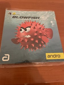 IMG_6229.jpeg