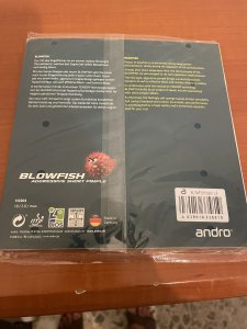 IMG_6230.jpeg
