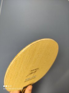 IMG_20250615_140431.jpg