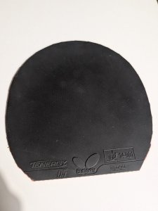 PXL_20250623_205106352.jpg