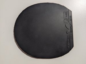 PXL_20250623_205110428.jpg