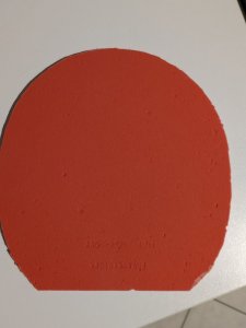 PXL_20250623_205151027.MP.jpg