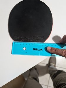 PXL_20250623_205315781.jpg