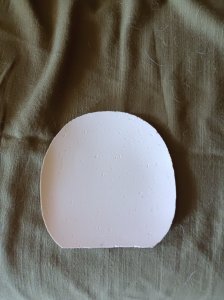 IMG_20250627_152531.jpg