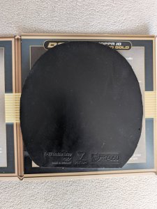 PXL_20250712_152532074.RAW-01.COVER.jpg