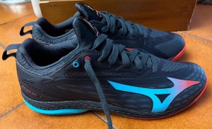 Mizuno1.jpg