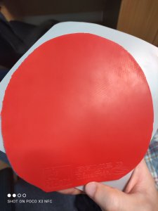 IMG_20250903_175430.jpg