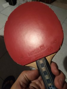 IMG_20250906_211928.jpg