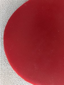PXL_20250909_122553173.RAW-01.COVER.jpg