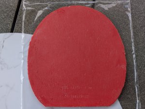 PXL_20250909_122939688.RAW-01.COVER.jpg
