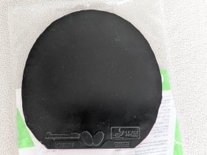 PXL_20250909_123359562.RAW-01.COVER.jpg