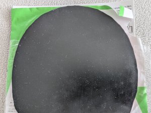 PXL_20250909_123216287.RAW-01.COVER.jpg