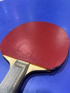 IMG_4929.jpeg