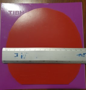 20250917_065049.jpg
