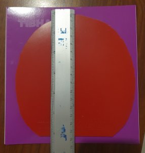 20250917_065059.jpg
