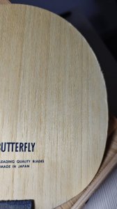 WhatsApp Image 2025-11-29 at 12.11.00(8).jpeg