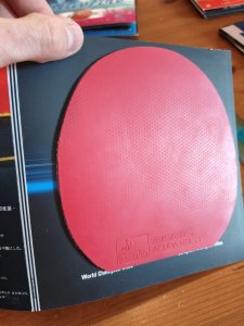 WhatsApp Image 2026-01-09 at 13.32.47 (11).jpeg