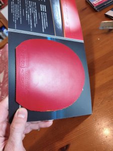 WhatsApp Image 2026-01-09 at 13.32.47 (16).jpeg