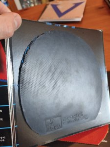 WhatsApp Image 2026-01-09 at 13.32.47 (18).jpeg