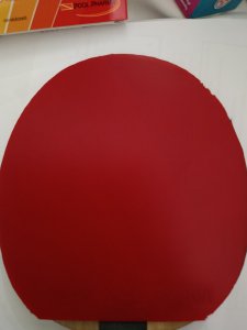 17769123293461721919775360868456.jpg