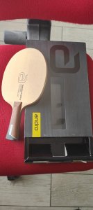 Andro Treiber 4.jpeg