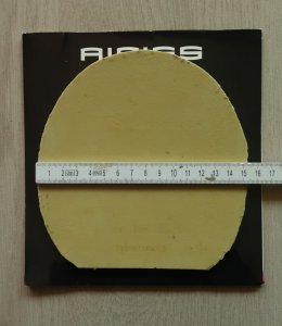 Aibiss2.JPG