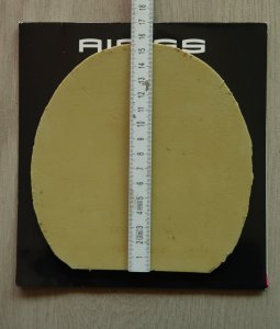 Aibiss3.JPG
