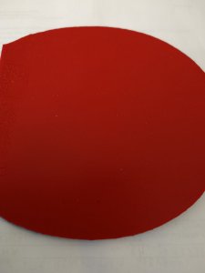 IMG_20260405_071547.jpg