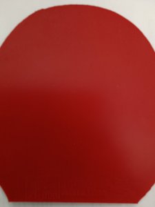 IMG_20260405_071540.jpg