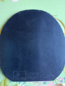 IMG_20260509_090838.jpg