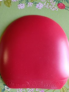 IMG_20260509_090818.jpg
